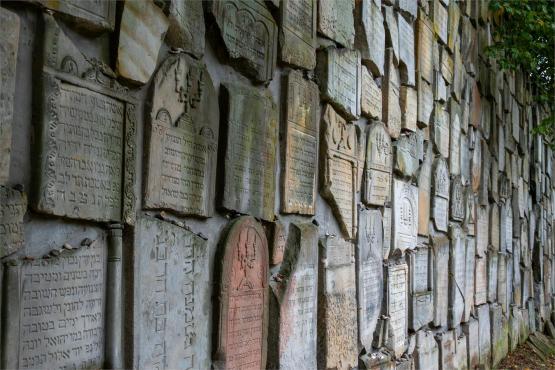 Kazimierz Dolny. Miasto, które pamięta więcej niż pokazuje...