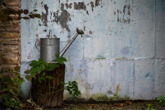 Kazimierz Dolny. Miasto, które pamięta więcej niż pokazuje...