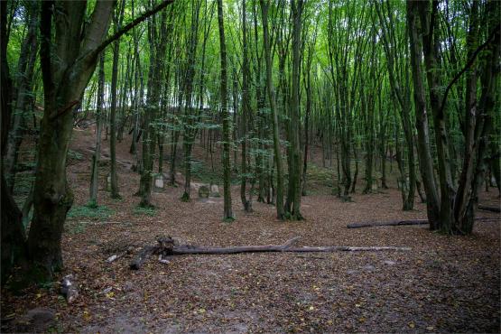 Kazimierz Dolny. Miasto, które pamięta więcej niż pokazuje...