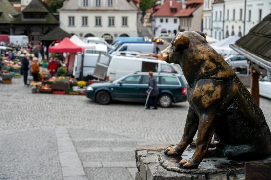 Kazimierz Dolny. Miasto, które pamięta więcej niż pokazuje...