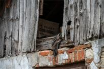 Kazimierz Dolny. Miasto, które pamięta więcej niż pokazuje...