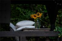 Kazimierz Dolny. Miasto, które pamięta więcej niż pokazuje...