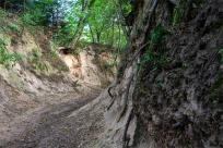 Kazimierz Dolny. Miasto, które pamięta więcej niż pokazuje...