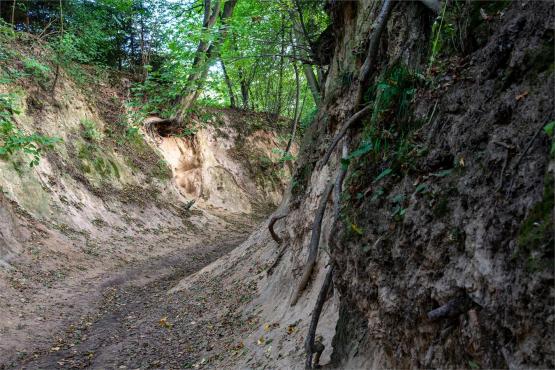 Kazimierz Dolny. Miasto, które pamięta więcej niż pokazuje...