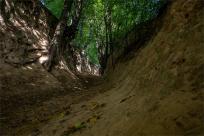Kazimierz Dolny. Miasto, które pamięta więcej niż pokazuje...