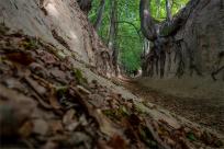Kazimierz Dolny. Miasto, które pamięta więcej niż pokazuje...