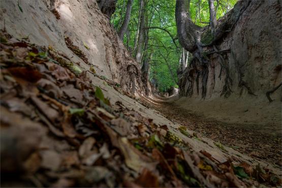 Kazimierz Dolny. Miasto, które pamięta więcej niż pokazuje...