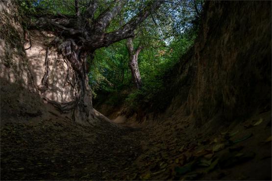 Kazimierz Dolny. Miasto, które pamięta więcej niż pokazuje...
