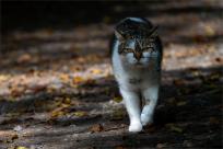 Kazimierz Dolny. Miasto, które pamięta więcej niż pokazuje...