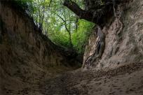 Kazimierz Dolny. Miasto, które pamięta więcej niż pokazuje...