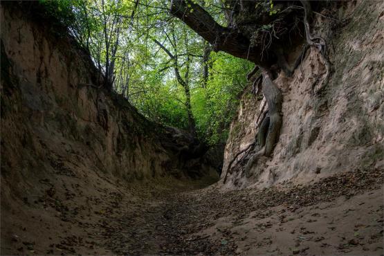 Kazimierz Dolny. Miasto, które pamięta więcej niż pokazuje...