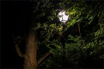 Kazimierz Dolny. Miasto, które pamięta więcej niż pokazuje...