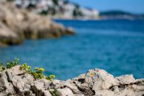 Wielkanocne jajo, czyli święta w Chorwacji