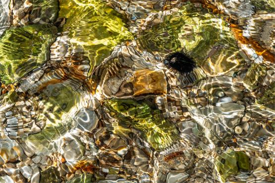 Wielkanocne jajo, czyli święta w Chorwacji