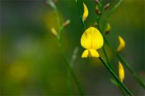 Wielkanocne jajo, czyli święta w Chorwacji