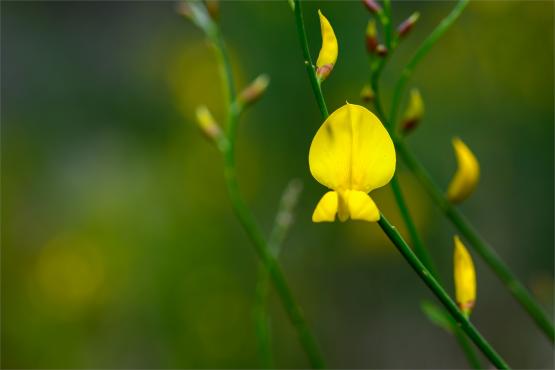 Wielkanocne jajo, czyli święta w Chorwacji