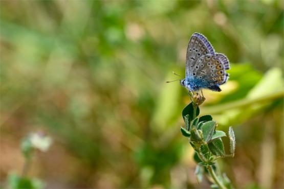 Wielkanocne jajo, czyli święta w Chorwacji