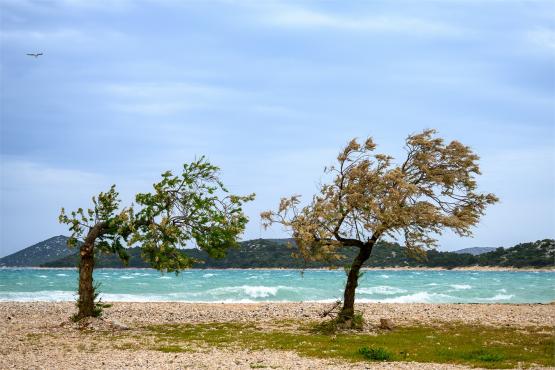Wielkanocne jajo, czyli święta w Chorwacji