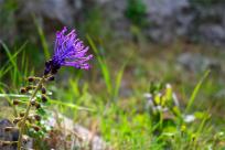 Wielkanocne jajo, czyli święta w Chorwacji