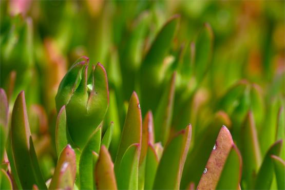 Wielkanocne jajo, czyli święta w Chorwacji