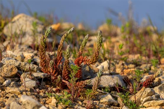 Wielkanocne jajo, czyli święta w Chorwacji
