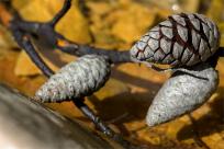 Wielkanocne jajo, czyli święta w Chorwacji