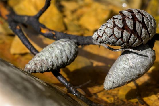 Wielkanocne jajo, czyli święta w Chorwacji