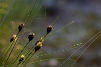 Wielkanocne jajo, czyli święta w Chorwacji