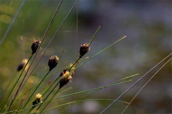 Wielkanocne jajo, czyli święta w Chorwacji