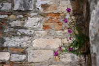 Wielkanocne jajo, czyli święta w Chorwacji