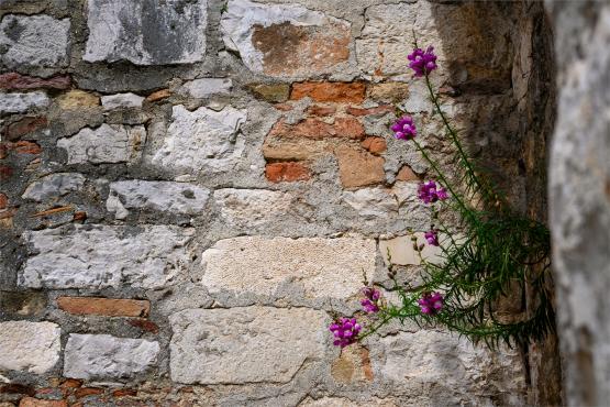 Wielkanocne jajo, czyli święta w Chorwacji