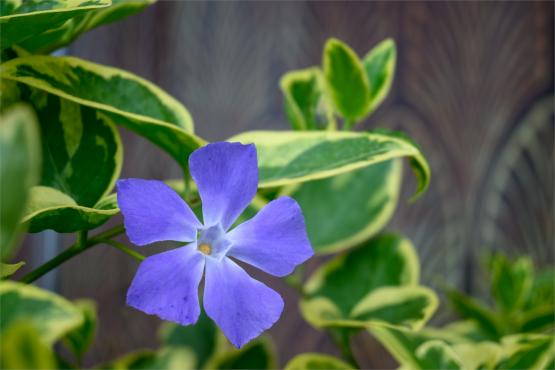 Wielkanocne jajo, czyli święta w Chorwacji