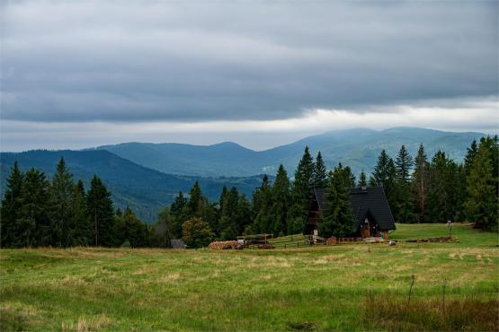 Strażnicy Beskidzkiej Puszczy: Kapliczki, demony i ryki jeleni