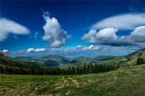 Strażnicy Beskidzkiej Puszczy: Kapliczki, demony i ryki jeleni