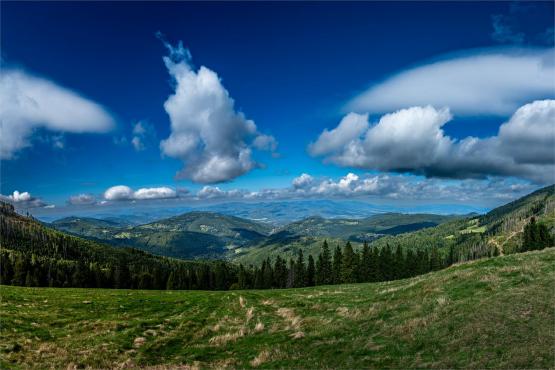 Strażnicy Beskidzkiej Puszczy: Kapliczki, demony i ryki jeleni