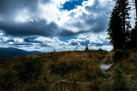 Strażnicy Beskidzkiej Puszczy: Kapliczki, demony i ryki jeleni