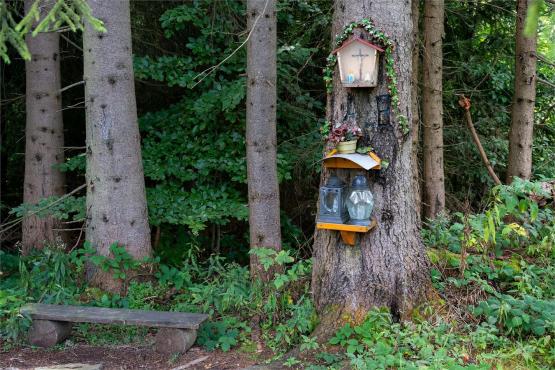 Strażnicy Beskidzkiej Puszczy: Kapliczki, demony i ryki jeleni