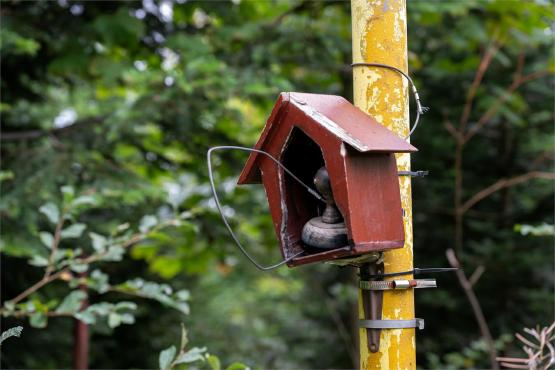 Strażnicy Beskidzkiej Puszczy: Kapliczki, demony i ryki jeleni