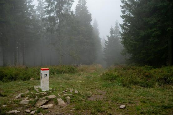 Strażnicy Beskidzkiej Puszczy: Kapliczki, demony i ryki jeleni