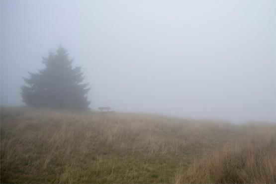 Strażnicy Beskidzkiej Puszczy: Kapliczki, demony i ryki jeleni