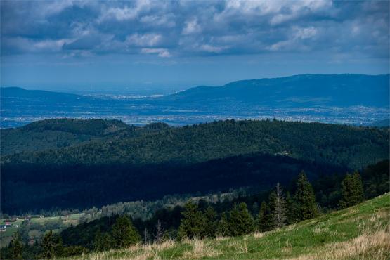 Strażnicy Beskidzkiej Puszczy: Kapliczki, demony i ryki jeleni