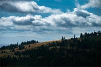Strażnicy Beskidzkiej Puszczy: Kapliczki, demony i ryki jeleni