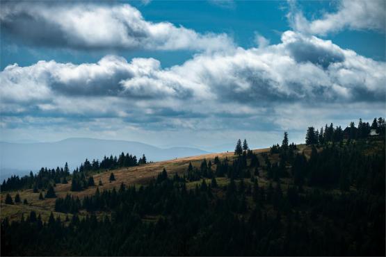 Strażnicy Beskidzkiej Puszczy: Kapliczki, demony i ryki jeleni