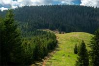 Strażnicy Beskidzkiej Puszczy: Kapliczki, demony i ryki jeleni