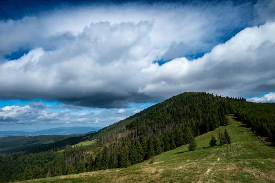 Strażnicy Beskidzkiej Puszczy: Kapliczki, demony i ryki jeleni
