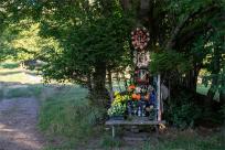 Strażnicy Beskidzkiej Puszczy: Kapliczki, demony i ryki jeleni