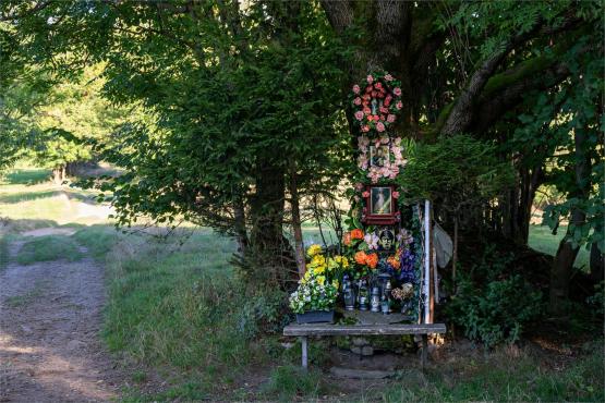 Strażnicy Beskidzkiej Puszczy: Kapliczki, demony i ryki jeleni