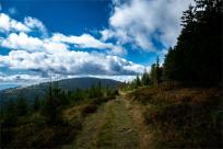 Strażnicy Beskidzkiej Puszczy: Kapliczki, demony i ryki jeleni
