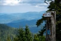 Strażnicy Beskidzkiej Puszczy: Kapliczki, demony i ryki jeleni