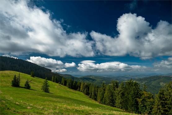 Strażnicy Beskidzkiej Puszczy: Kapliczki, demony i ryki jeleni
